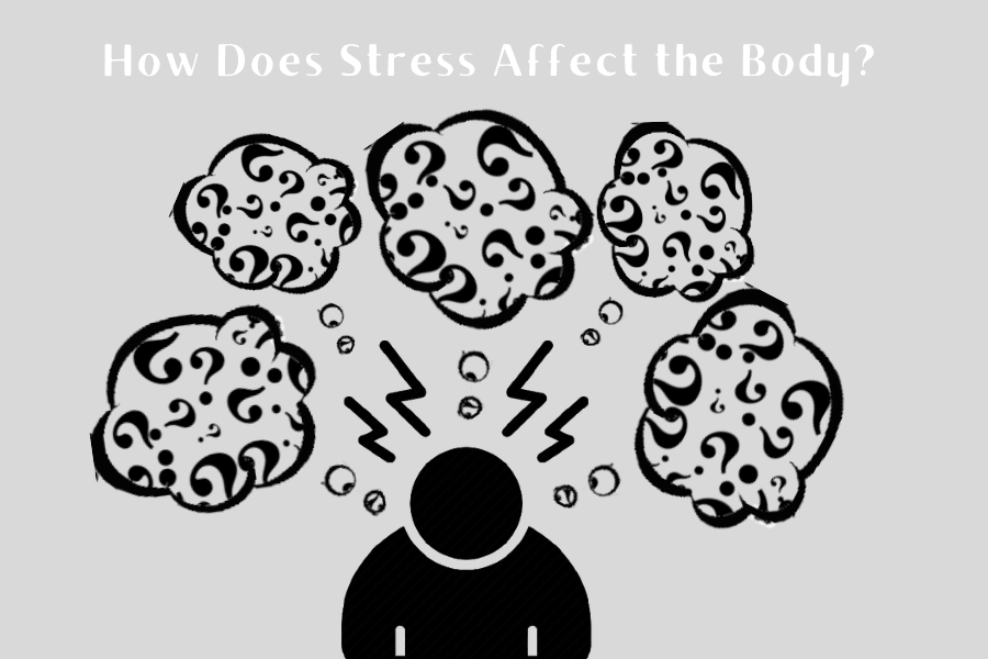 How+Does+Stress+Affect+the+Body%3F