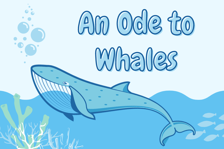 An Ode to Whales