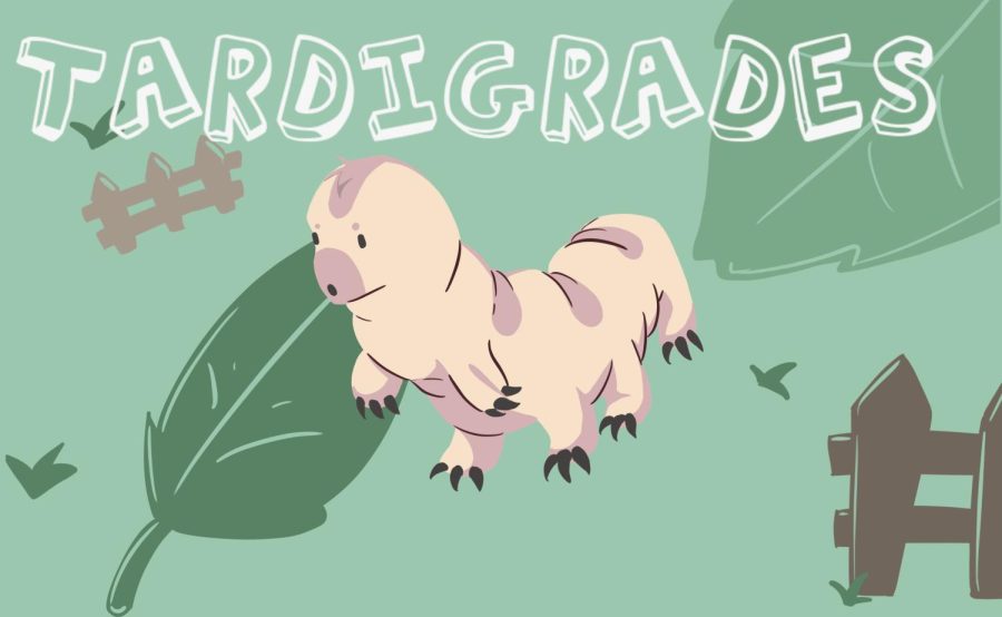 Tardigrades%3A+The+Indestructible+Creatures+Living+in+Your+Backyard
