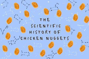 A Scientific History of Chicken Nuggets