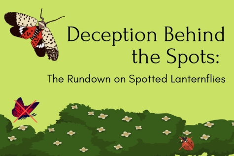 Deception Behind the Spots: The Rundown on Spotted Lanternflies
