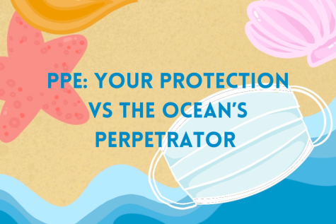 PPE: Your Protection vs. The Ocean’s Perpetrator 