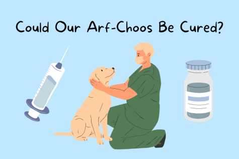 Could Our Arf-Choos be Cured?
