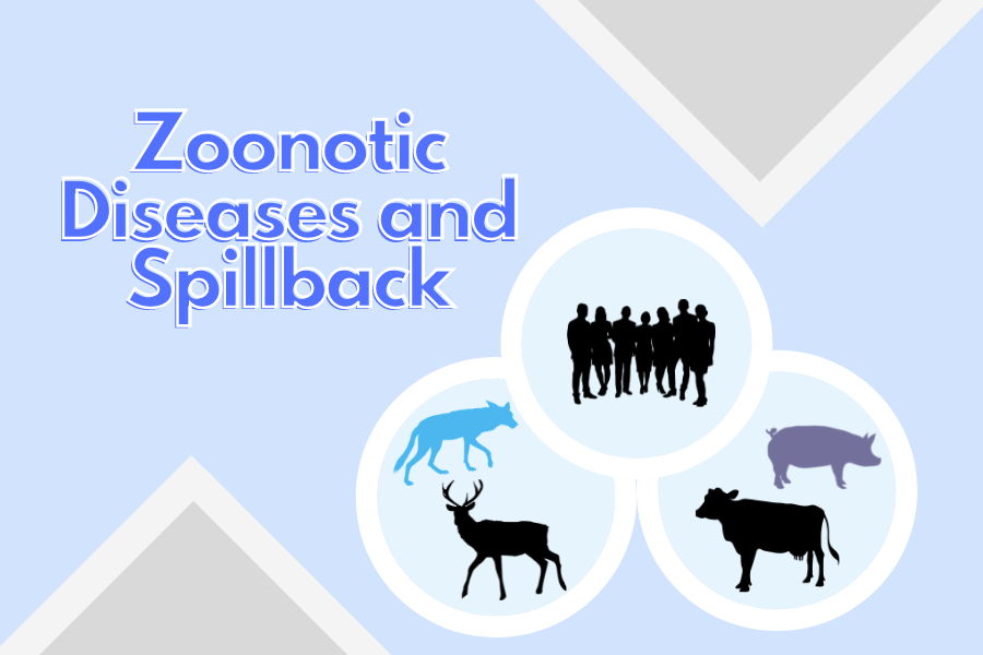 Zoonotic+Diseases%3A+A+Grim+Reflection