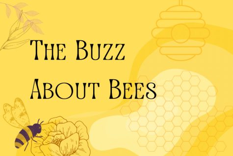 The Buzz About Bees 