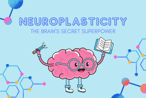 Neuroplasticity: The Brains Secret Superpower