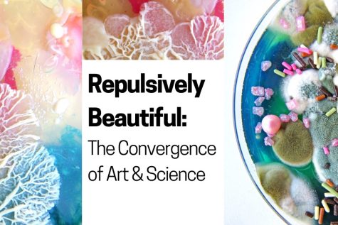 Repulsively Beautiful: The Convergence of Art and Science